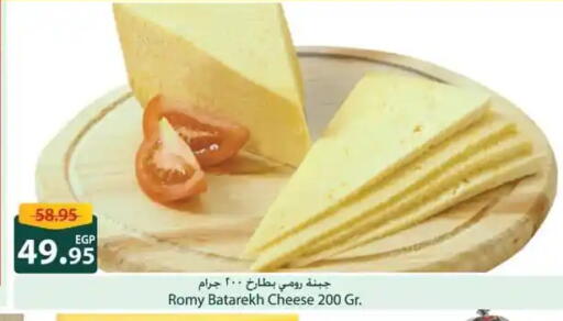 Roumy Cheese available at Spinneys  in Egypt - Cairo