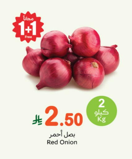 Onion available at Othaim Markets in KSA, Saudi Arabia, Saudi - Tabuk