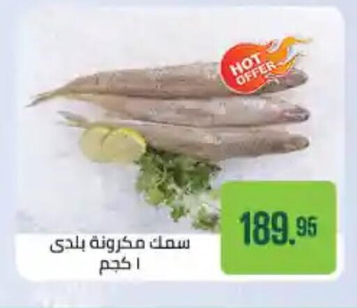 available at Seoudi Supermarket in Egypt - Cairo