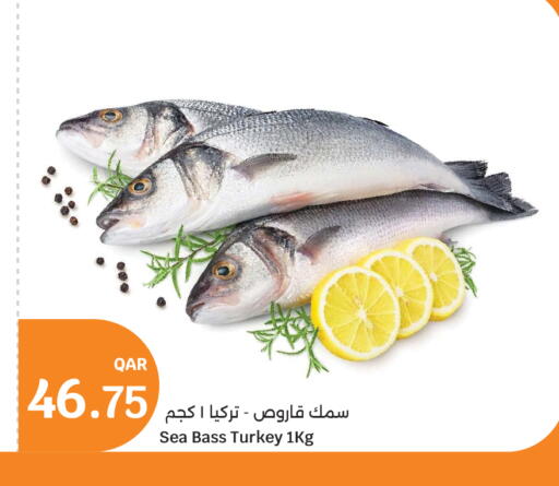 available at City Hypermarket in Qatar - Doha