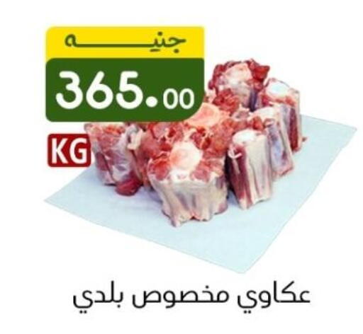 available at خان الحسين in Egypt - القاهرة