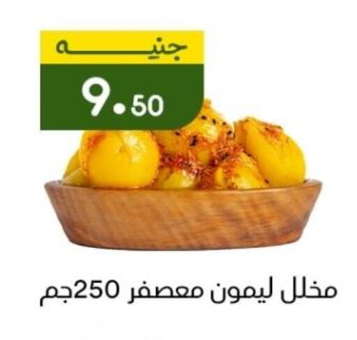 available at خان الحسين in Egypt - القاهرة