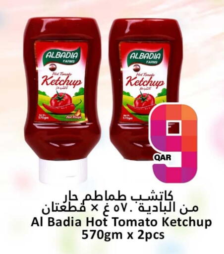 كاتشب الطماطم available at دانة هايبرماركت in قطر - الدوحة