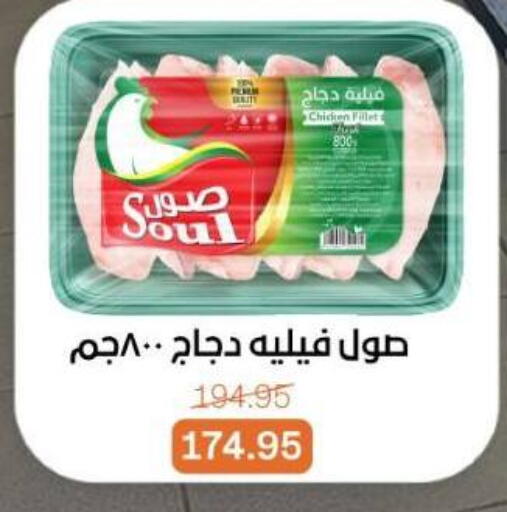 available at بيت الجملة in Egypt - القاهرة
