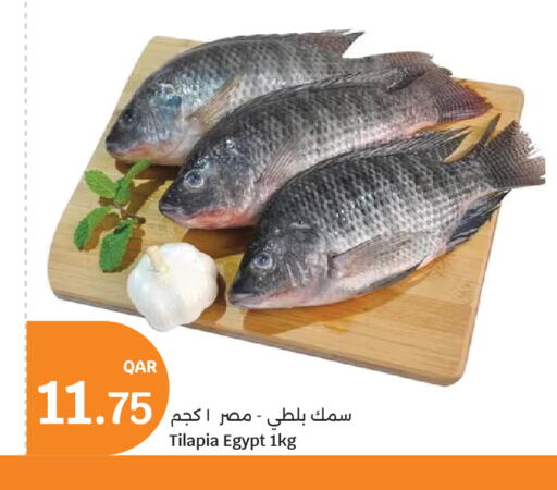 available at City Hypermarket in Qatar - Doha