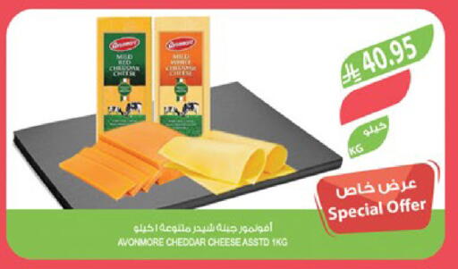 جبنة الشيدر available at المزرعة in مملكة العربية السعودية, السعودية, سعودية - تبوك