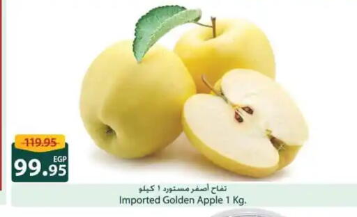 Apple available at Spinneys  in Egypt - Cairo