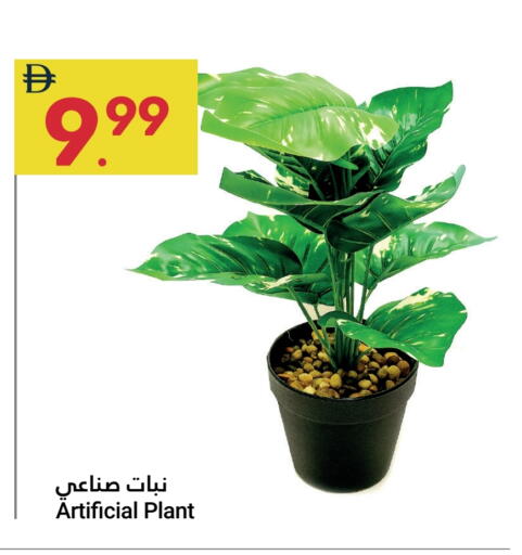 available at Grand Emirates Market in UAE - Abu Dhabi