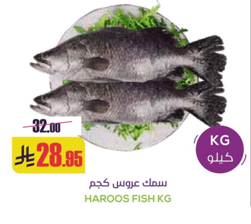 available at سبت in مملكة العربية السعودية, السعودية, سعودية - بريدة