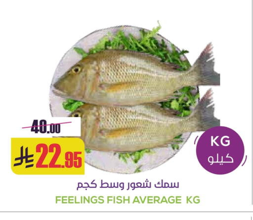 available at سبت in مملكة العربية السعودية, السعودية, سعودية - بريدة