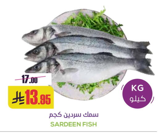 available at سبت in مملكة العربية السعودية, السعودية, سعودية - بريدة