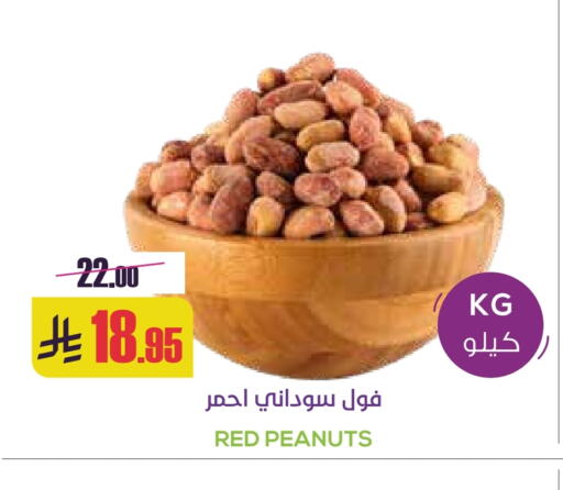 available at سبت in مملكة العربية السعودية, السعودية, سعودية - بريدة