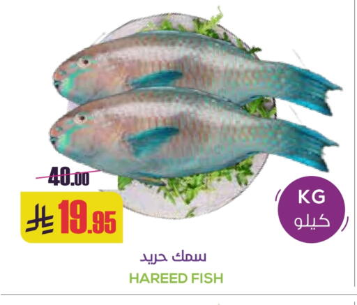 available at سبت in مملكة العربية السعودية, السعودية, سعودية - بريدة