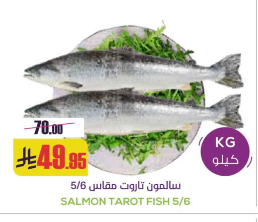 available at سبت in مملكة العربية السعودية, السعودية, سعودية - بريدة