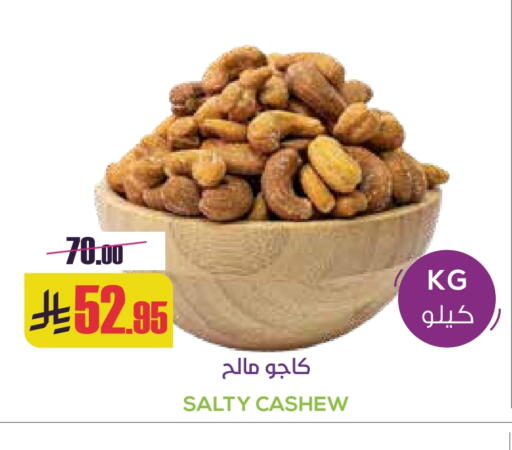 available at سبت in مملكة العربية السعودية, السعودية, سعودية - بريدة