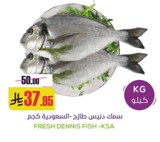 available at سبت in مملكة العربية السعودية, السعودية, سعودية - بريدة