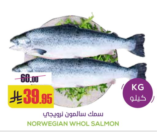 available at سبت in مملكة العربية السعودية, السعودية, سعودية - بريدة