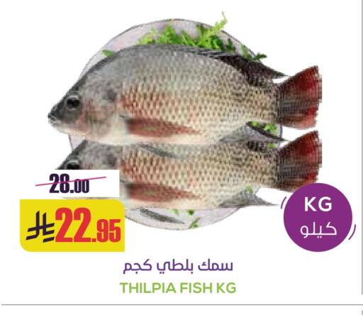 available at سبت in مملكة العربية السعودية, السعودية, سعودية - بريدة