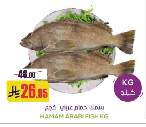 available at سبت in مملكة العربية السعودية, السعودية, سعودية - بريدة