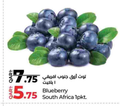 Blueberry BlueBerry from South Africa available at LuLu Hypermarket in Qatar - Doha