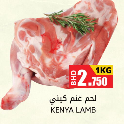 Mutton / Lamb available at Day to Day Discount Center in Bahrain