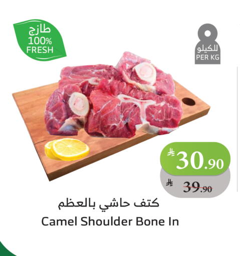Camel meat in Al Raya KSA, Saudi Arabia, Saudi - Tabuk | D4D Online