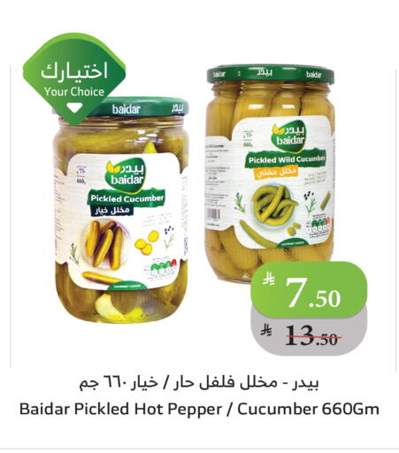 Cucumber Pepper available at الراية in مملكة العربية السعودية, السعودية, سعودية - تبوك