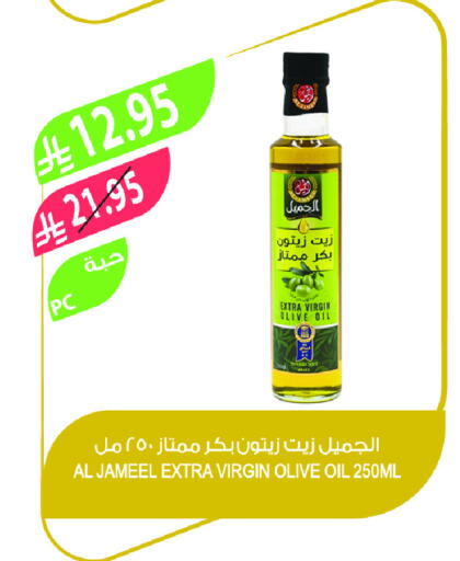 Virgin Olive Oil available at Farm  in KSA, Saudi Arabia, Saudi - Al-Kharj