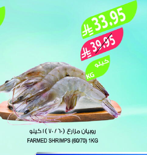 available at Farm  in KSA, Saudi Arabia, Saudi - Tabuk