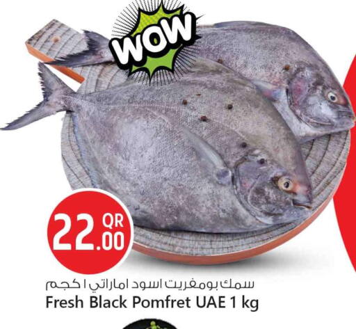 available at سفاري هايبر ماركت in قطر - الدوحة