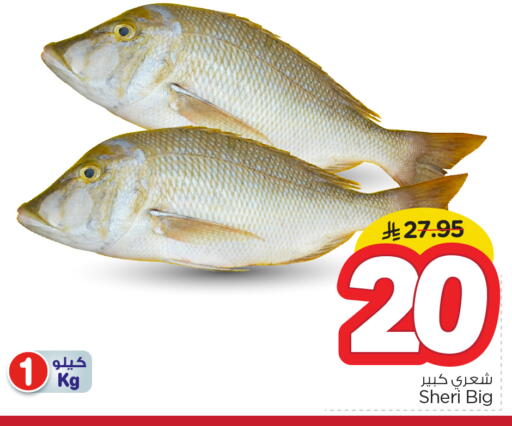 available at Nesto in KSA, Saudi Arabia, Saudi - Al-Kharj