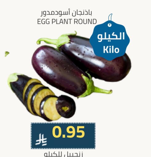 Ginger available at Astra Markets in KSA, Saudi Arabia, Saudi - Tabuk