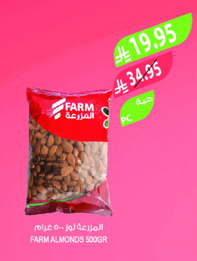 available at Farm  in KSA, Saudi Arabia, Saudi - Tabuk