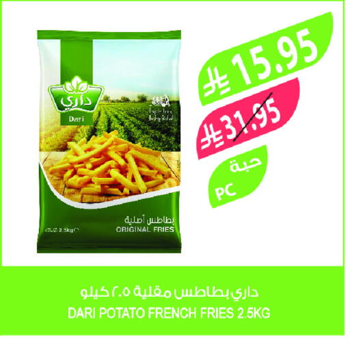 Potato available at Farm  in KSA, Saudi Arabia, Saudi - Al-Kharj