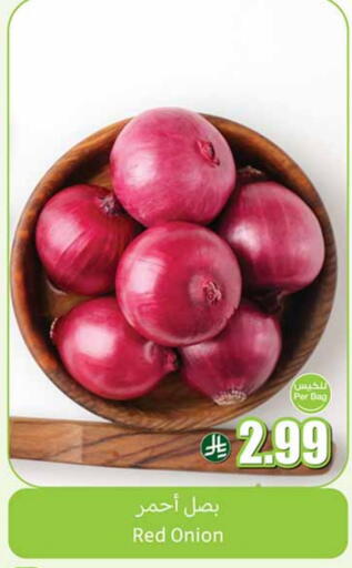 Onion available at Othaim Markets in KSA, Saudi Arabia, Saudi - Tabuk