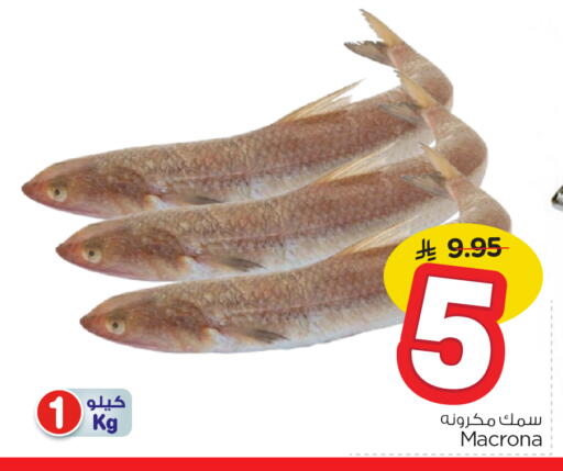 available at Nesto in KSA, Saudi Arabia, Saudi - Al-Kharj
