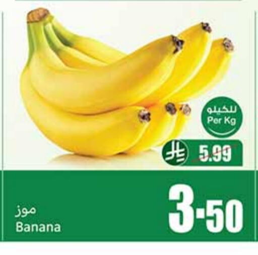 Banana available at Othaim Markets in KSA, Saudi Arabia, Saudi - Jeddah