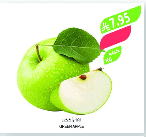 Fresh Fruits in Farm , Saudi Arabia Offers - Saudi Arabia Apples available at Farm  in KSA, Saudi Arabia, Saudi - Tabuk