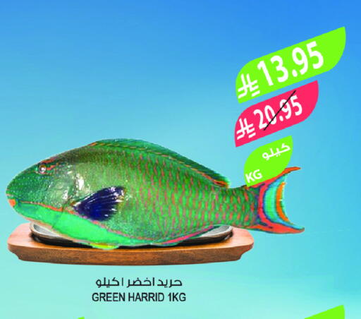 available at Farm  in KSA, Saudi Arabia, Saudi - Tabuk