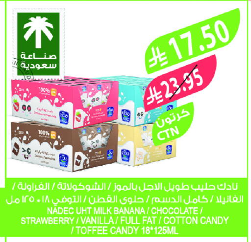 NADEC Long Life / UHT Milk available at Farm  in KSA, Saudi Arabia, Saudi - Tabuk