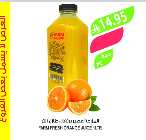 Orange available at Farm  in KSA, Saudi Arabia, Saudi - Al-Kharj
