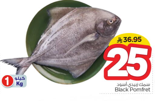available at Nesto in KSA, Saudi Arabia, Saudi - Al-Kharj