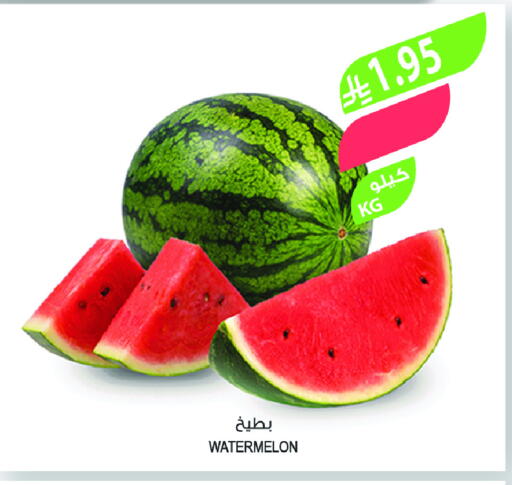 Fresh Fruits in Farm , Saudi Arabia Offers - Saudi Arabia Watermelon available at Farm  in KSA, Saudi Arabia, Saudi - Tabuk