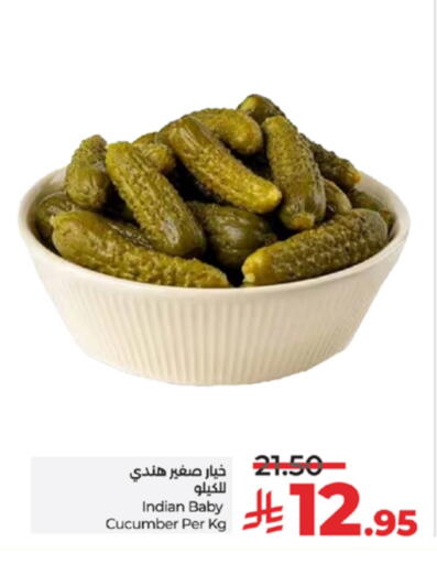 Cucumber available at لولو هايبرماركت in مملكة العربية السعودية, السعودية, سعودية - تبوك
