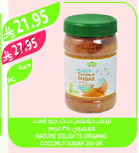 Coconut available at Farm  in KSA, Saudi Arabia, Saudi - Tabuk