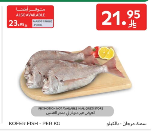 available at Carrefour in KSA, Saudi Arabia, Saudi - Al Khobar