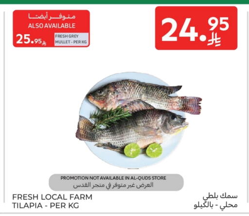 available at Carrefour in KSA, Saudi Arabia, Saudi - Sakaka
