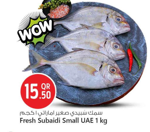 available at سفاري هايبر ماركت in قطر - الدوحة