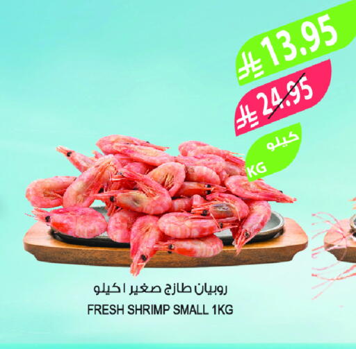 available at Farm  in KSA, Saudi Arabia, Saudi - Tabuk