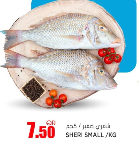 available at جراند هايبرماركت in قطر - الدوحة